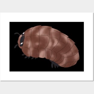 Russian Caucasus Isopod Posters and Art